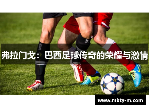 弗拉门戈：巴西足球传奇的荣耀与激情