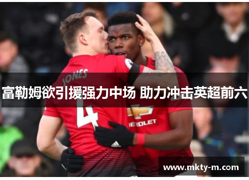 富勒姆欲引援强力中场 助力冲击英超前六